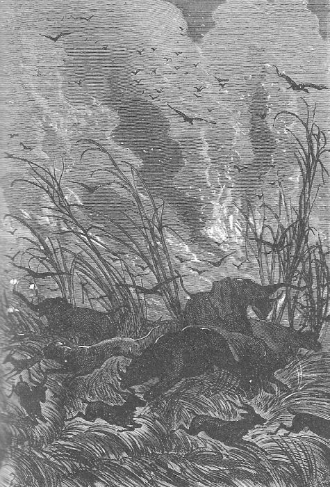 Иллюстрация к книге — Приключения троих русских и троих англичан [_031.jpg]