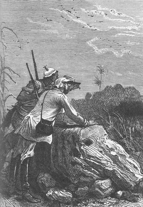 Иллюстрация к книге — Приключения троих русских и троих англичан [_035.jpg]