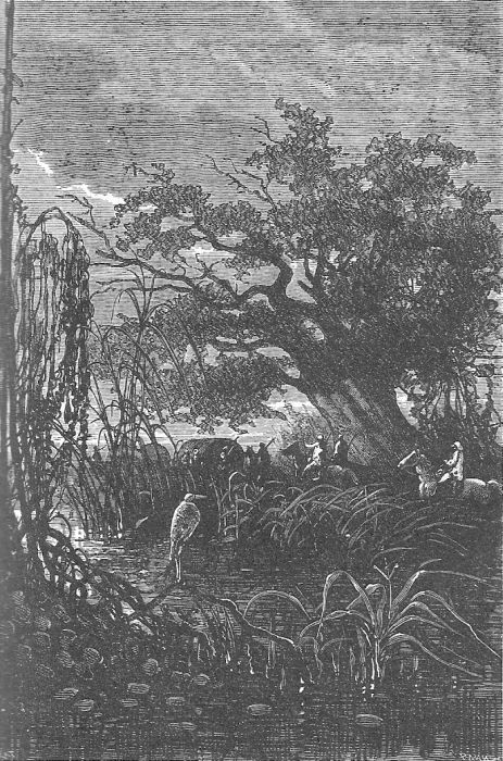 Иллюстрация к книге — Приключения троих русских и троих англичан [_036.jpg]