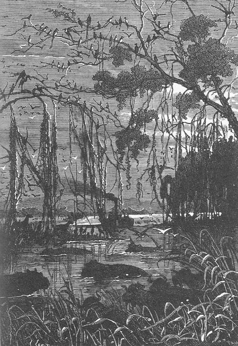 Иллюстрация к книге — Приключения троих русских и троих англичан [_053.jpg]