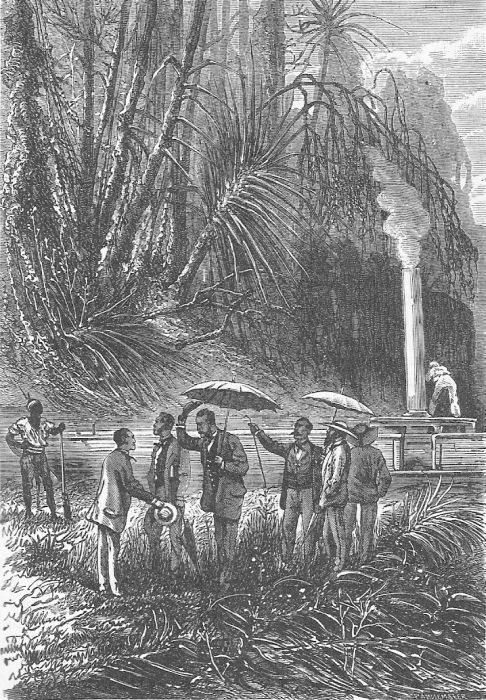 Иллюстрация к книге — Приключения троих русских и троих англичан [i_006.jpg]