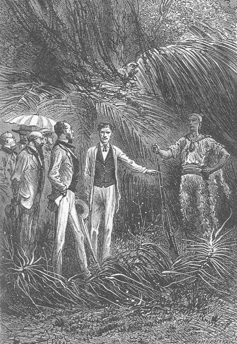 Иллюстрация к книге — Приключения троих русских и троих англичан [i_007.jpg]