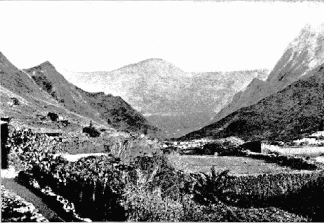 Иллюстрация к книге — Агентство «Томпсон и K°» [i_038.jpg]