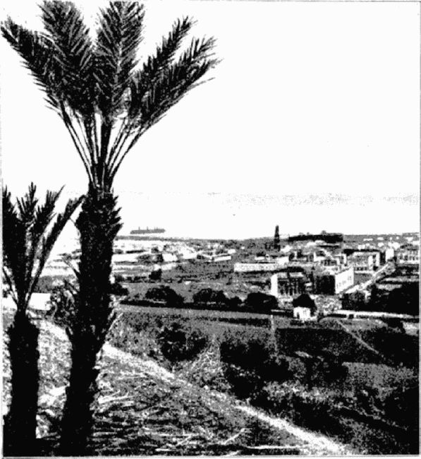 Иллюстрация к книге — Агентство «Томпсон и K°» [i_042.jpg]