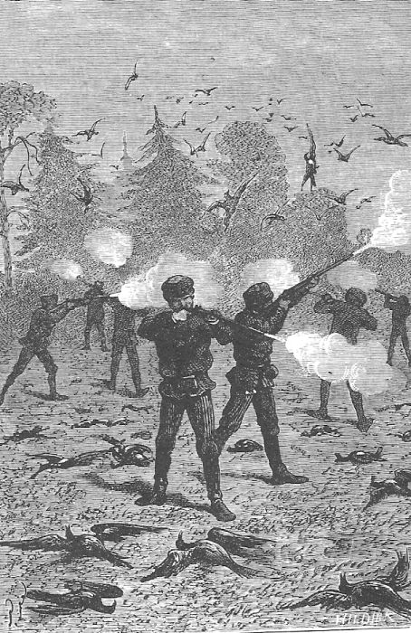 Иллюстрация к книге — В стране мехов [i_024.jpg]