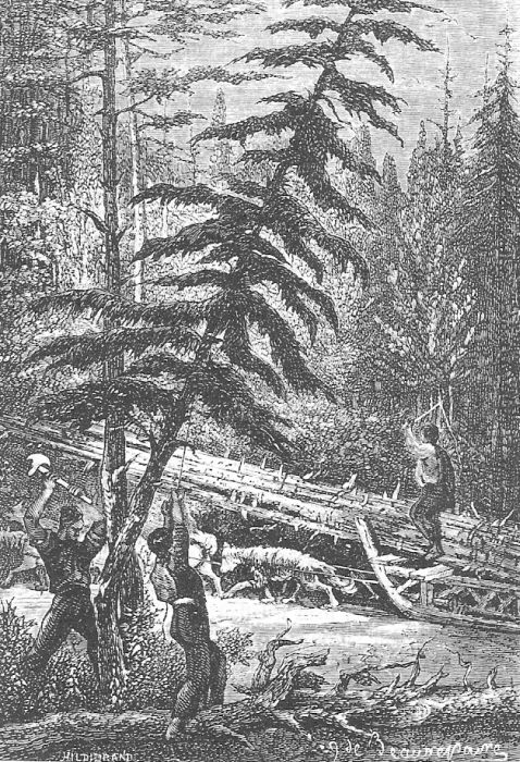 Иллюстрация к книге — В стране мехов [i_029.jpg]