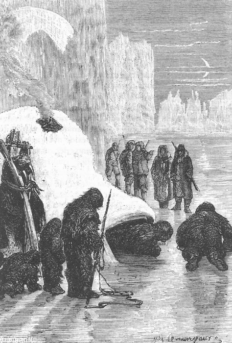 Иллюстрация к книге — В стране мехов [i_042.jpg]