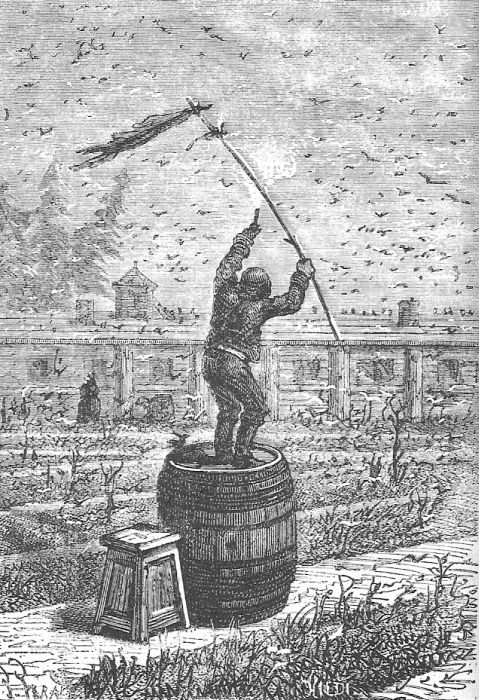 Иллюстрация к книге — В стране мехов [i_064.jpg]