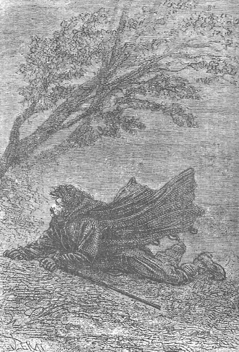 Иллюстрация к книге — В стране мехов [i_069.jpg]