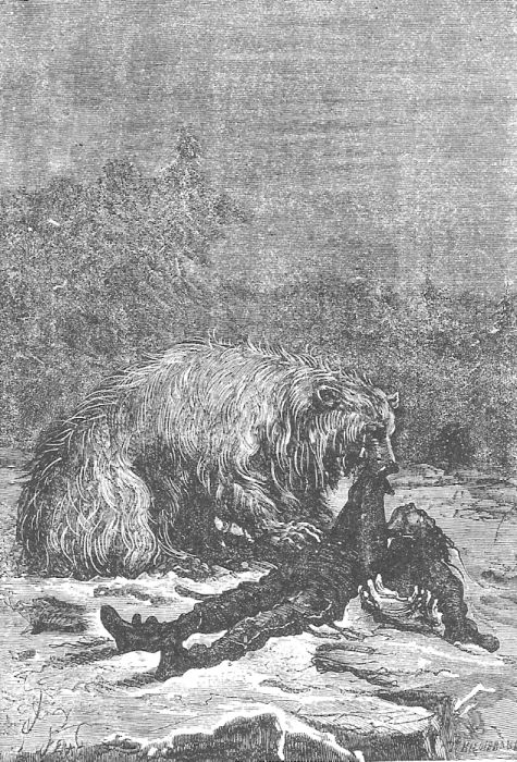 Иллюстрация к книге — В стране мехов [i_072.jpg]