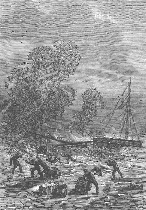 Иллюстрация к книге — В стране мехов [i_100.jpg]