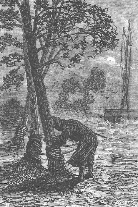 Иллюстрация к книге — В стране мехов [i_101.jpg]