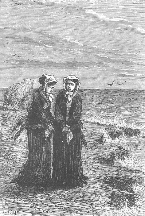 Иллюстрация к книге — В стране мехов [i_103.jpg]