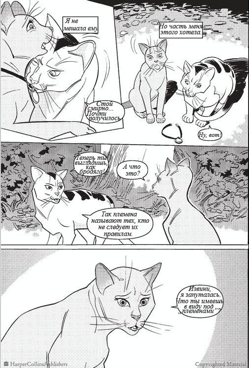 Иллюстрация к книге — Манга. Звездоцап и Саша: В леса! [17.jpg]