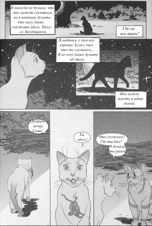 Иллюстрация к книге — Манга. Звездоцап и Саша: В леса! [38.jpg]