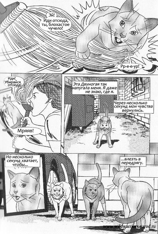 Иллюстрация к книге — Манга. Звездоцап и Саша: Бегство из леса [19.jpg]