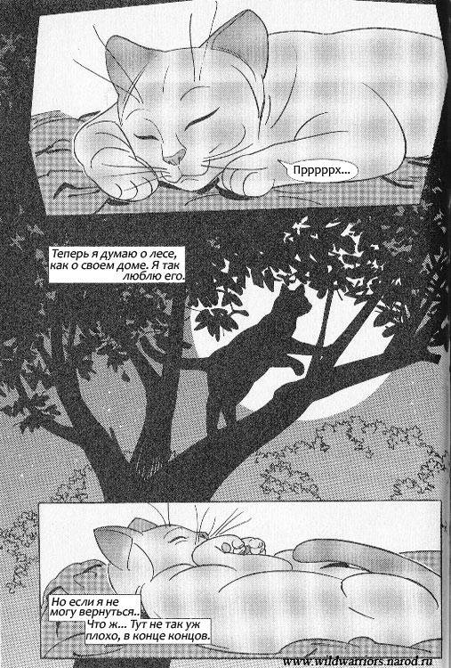 Иллюстрация к книге — Манга. Звездоцап и Саша: Бегство из леса [52.jpg]