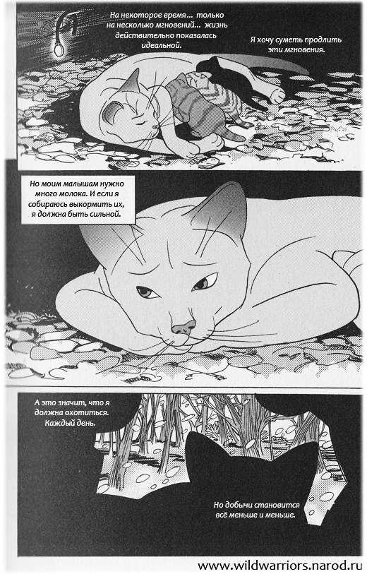 Иллюстрация к книге — Манга. Звездоцап и Саша: Возвращение в племена [2.jpg]