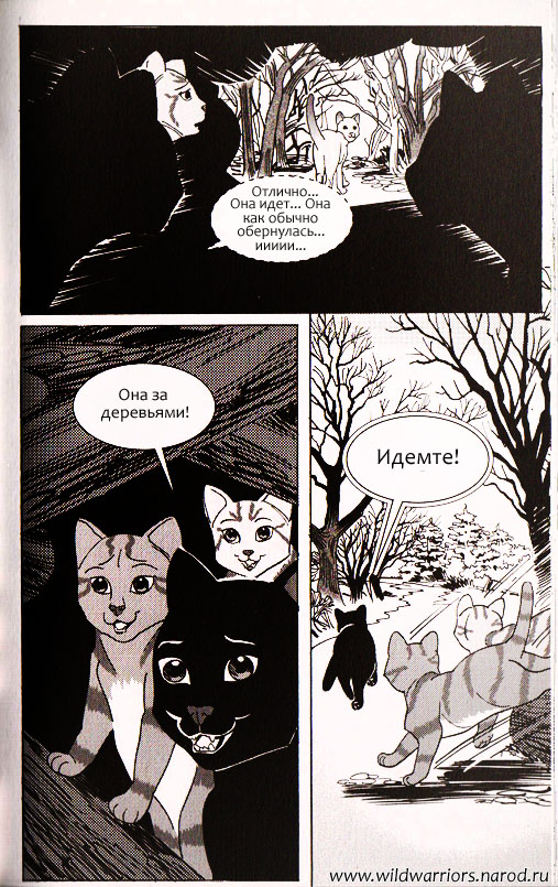 Иллюстрация к книге — Манга. Звездоцап и Саша: Возвращение в племена [24.jpg]