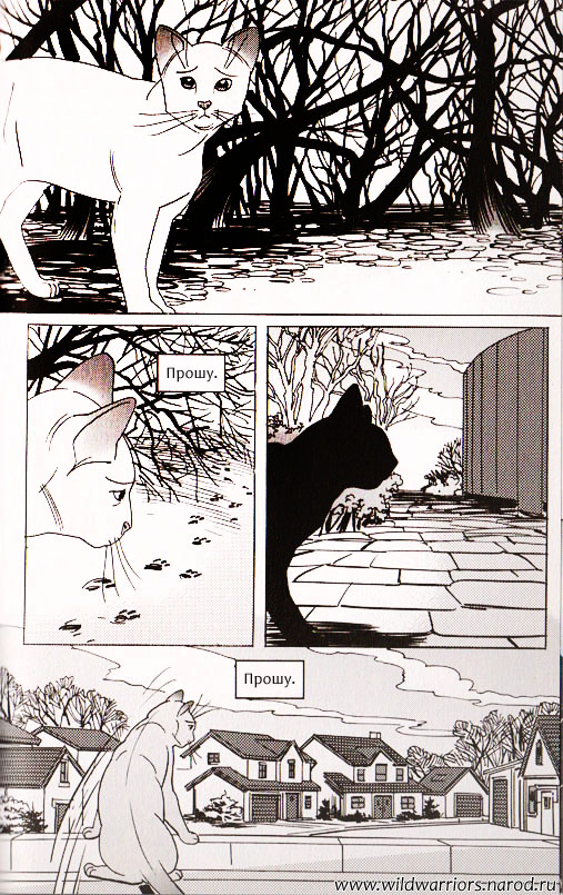 Иллюстрация к книге — Манга. Звездоцап и Саша: Возвращение в племена [31.jpg]