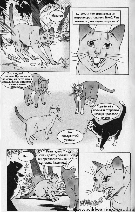 Иллюстрация к книге — Манга. Звездоцап и Саша: Возвращение в племена [7.jpg]