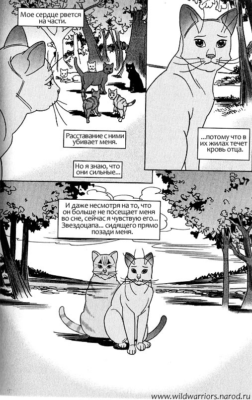 Иллюстрация к книге — Манга. Звездоцап и Саша: Возвращение в племена [79.jpg]