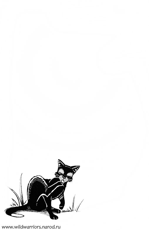 Иллюстрация к книге — Манга. Путь Горелого. Разрушенный мир [74.jpg]