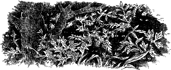 Иллюстрация к книге — Чернильная кровь [i_006.png]