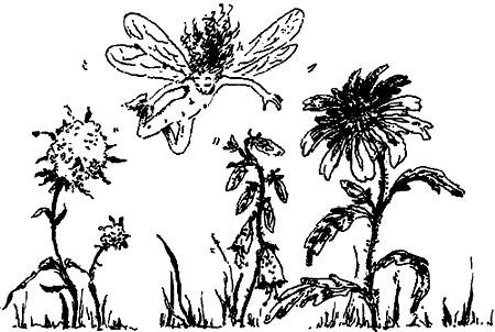 Иллюстрация к книге — Чернильная кровь [i_014.png]