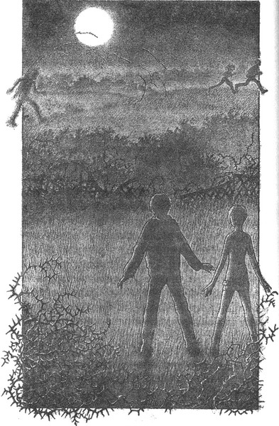 Иллюстрация к книге — Колючник [_pic13.jpg]