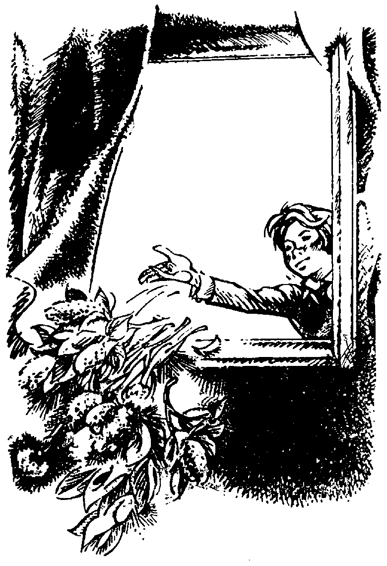 Иллюстрация к книге — Без пяти минут взрослые [pic01.png]