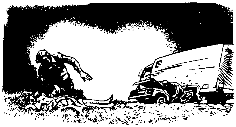 Иллюстрация к книге — Без пяти минут взрослые [pic11.png]