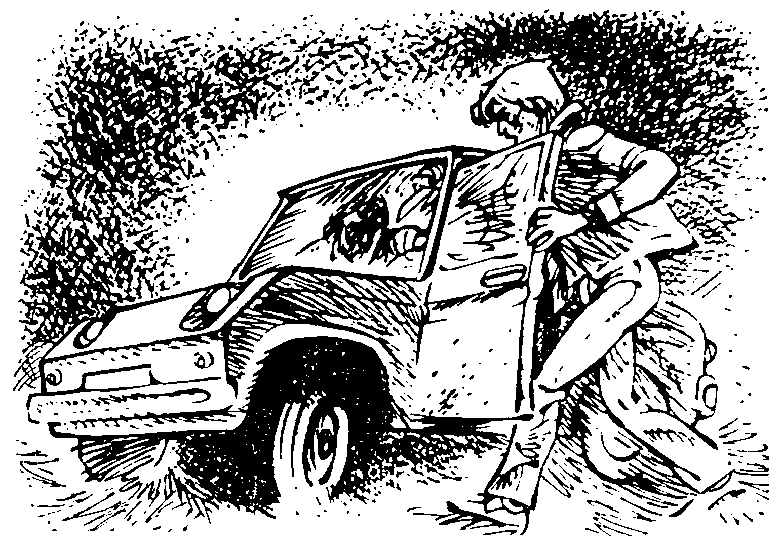 Иллюстрация к книге — Без пяти минут взрослые [pic14.png]