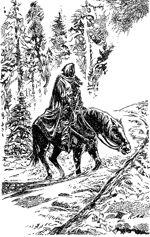 Иллюстрация к книге — Всадники проклятого леса [i_005.png]