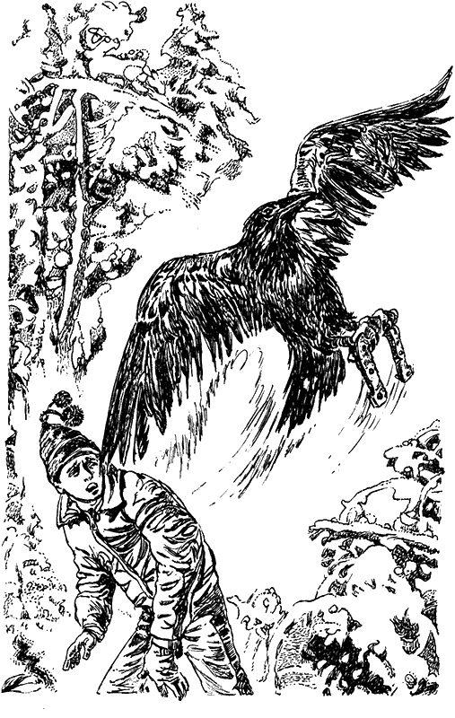 Иллюстрация к книге — Всадники проклятого леса [i_006.png]