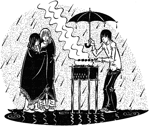 Иллюстрация к книге — Для стильных девчонок и не только. Настольная книга по жизни [i_044.png]