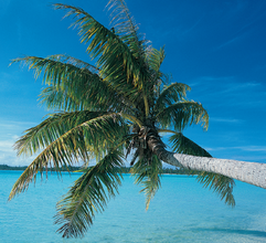 Иллюстрация к книге — Как устроить superвечеринку [i_027.png]