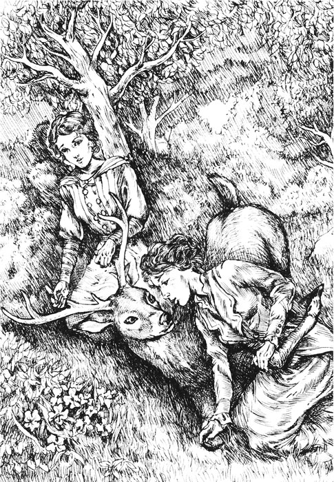 Иллюстрация к книге — Гордость и предубеждение и зомби [i_008.jpg]