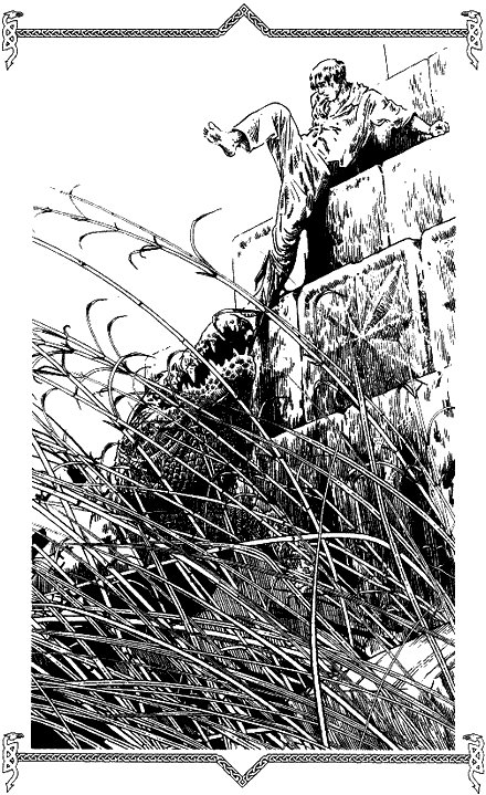 Иллюстрация к книге — Обратная сторона пути [i_001.png]