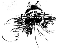 Иллюстрация к книге — Как приручить дракона [pic_59.png]