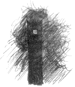 Иллюстрация к книге — Как разговаривать по-драконьи [i_063.png]