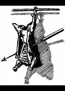 Иллюстрация к книге — Записки о Шерлоке Холмсе [i_044.jpg]