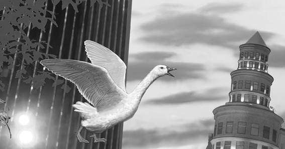 Иллюстрация к книге — Полночь в музее [i_001.jpg]