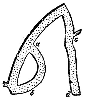 Иллюстрация к книге — Сообщение Артура Гордона Пима [_3.jpg]