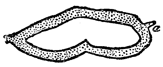 Иллюстрация к книге — Сообщение Артура Гордона Пима [any2fbimgloader2.png]