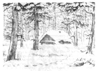 Иллюстрация к книге — Сибирочка [untitled4kopirovat.jpg]