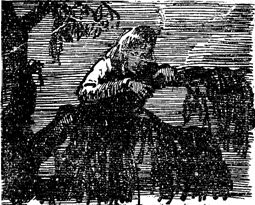 Иллюстрация к книге — Квентин Дорвард [i_018.jpg]