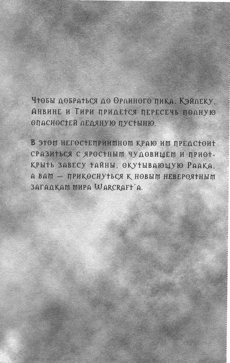 Иллюстрация к книге — Охота на дракона. Том 1 [167.jpg]