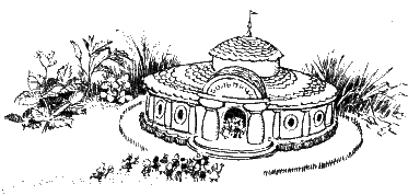 Иллюстрация к книге — Приключения Незнайки и его друзей [image014.png]