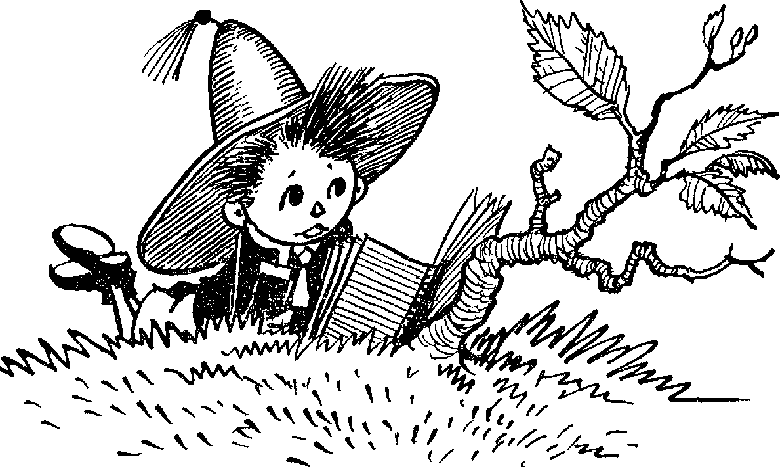 Иллюстрация к книге — Незнайка в Солнечном городе [doc2fb_image_03000002.png]